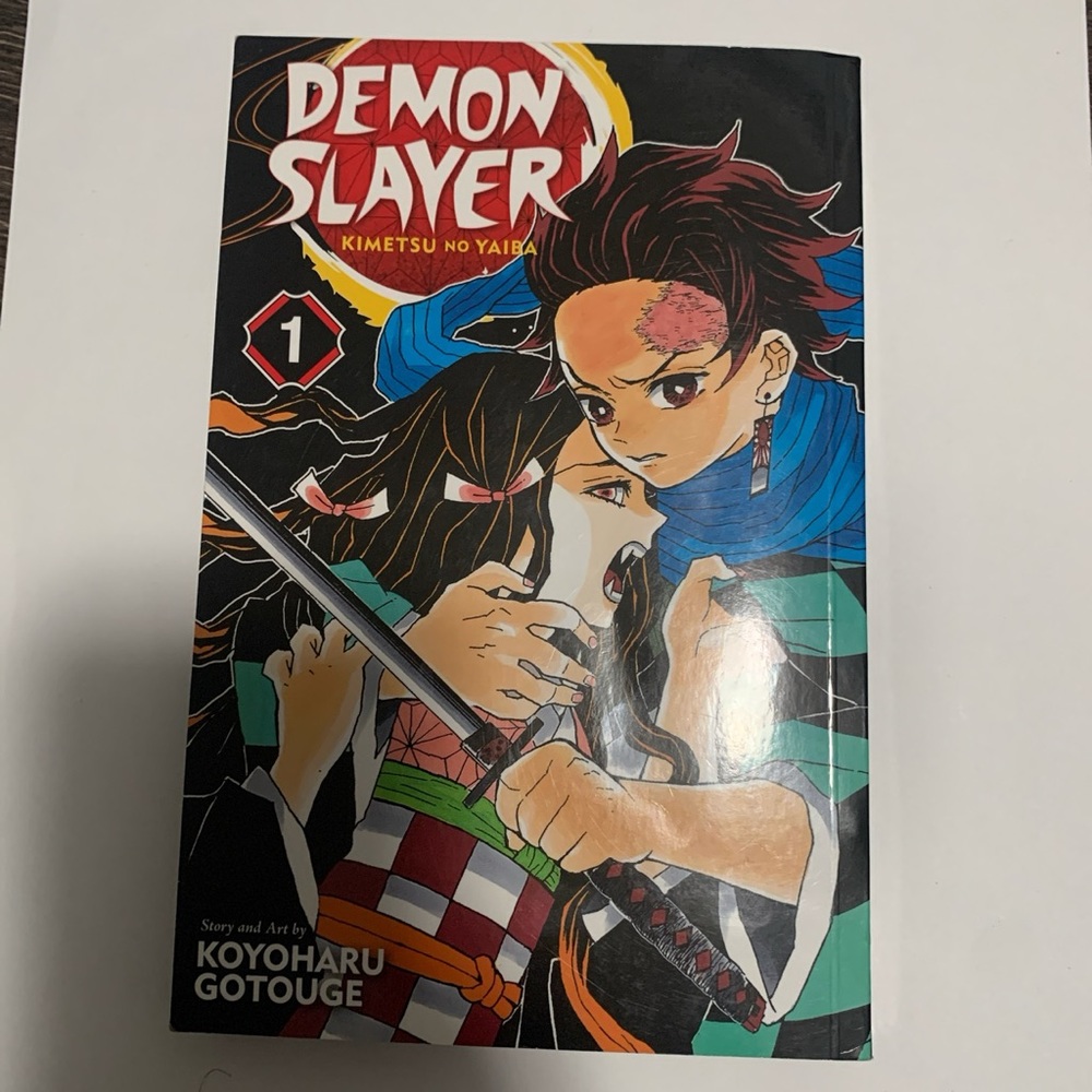 demon slayer manga, vol 1